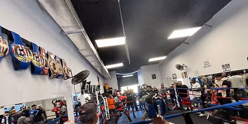 Open Sparring \ud83c\udf84