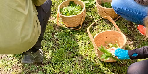 Smaka p\u00e5 skogen