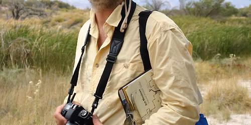 Nighttime Pollinators: Florida Native Moths!