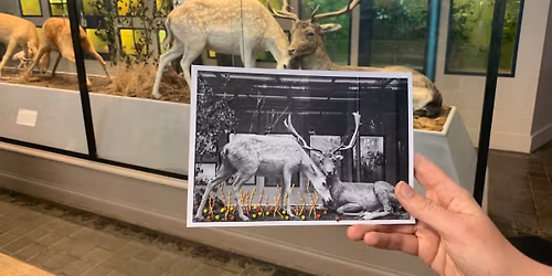 Atelier I Broderie sur photos