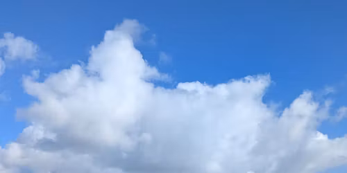 Meditation Class - The Beginners Mind