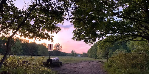 Navigating the IEP Process