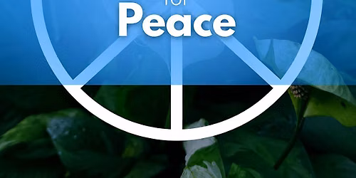 Vocal Toning for Peace with Tone Circle\u2122 Facilitator Meri Sulcer