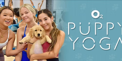 Puppy Yoga