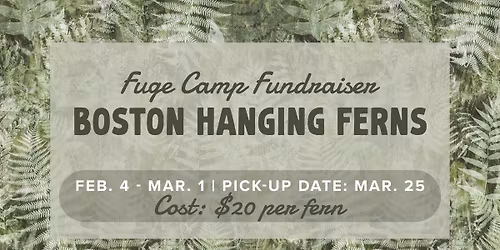 Fuge Camp Fundraiser: Fern Sale
