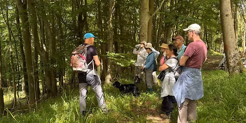 Enjoy a tour of the new Warleigh Nature Reserve on the outskirts of Bath.