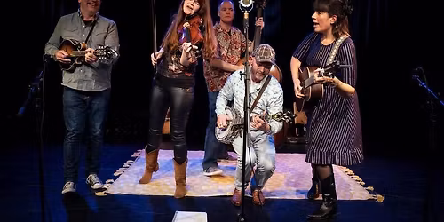 De Schalm (Westwoud) The Oldtime Stringband