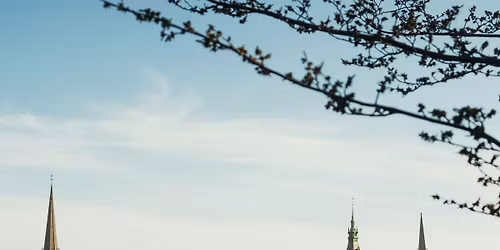 BPW Hamburg: Walk, Talk & Network