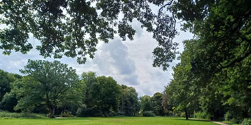 Forest bathing at Leidse hout