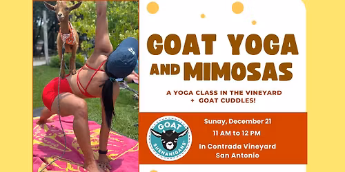 Goat Yoga and Mimosas (San Antonio)