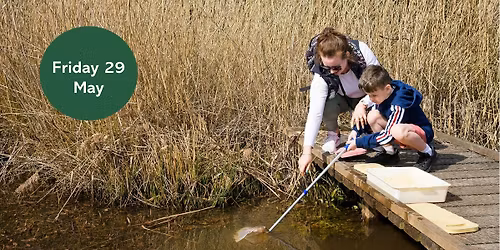 Forever 7: Pond Dipping
