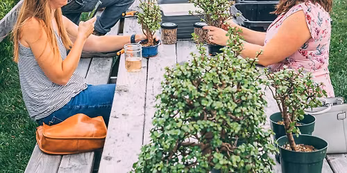 Bonsai Workshop at Saint August Maison