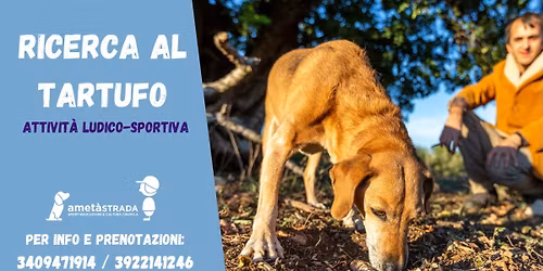 Allenamenti ricerca al tartufo