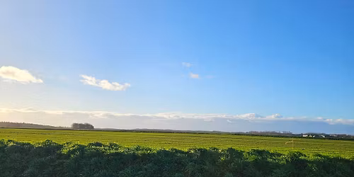 \ud83c\udf3f\u2728 Jigsaw Retreat | Rise & Rejuvenate | Crosby \u2728\ud83c\udf3f\n\n