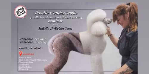 Poodle Wonderworks with Isabella J Doblas Jones