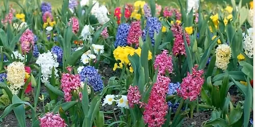 Mattawa Legion Annual Spring Fling Vendors Market