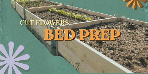 Cut Flowers- Building the Foundation