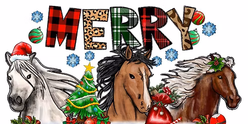 Our Yearly Very Merry Xmas Fun Showjumping Spectacular