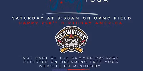 4th of July at UPMC Park