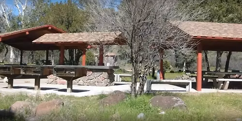 Bring in NYE with ABC