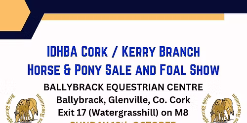 Horse & Pony Sale 2025