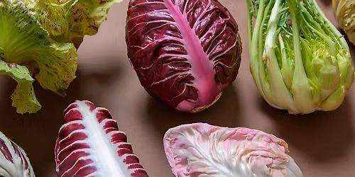 Celebrating Radicchio with The Culinary Breeding Network at Stark
