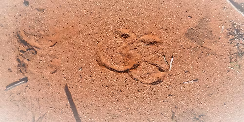 No hoof No Horse - Learn to trim your own horse workshop