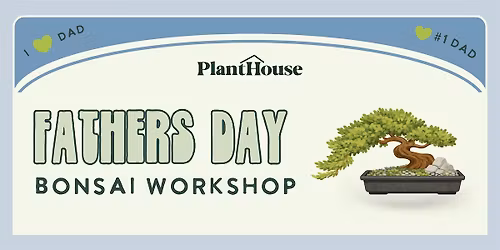 Father's Day Bonsai Workshop