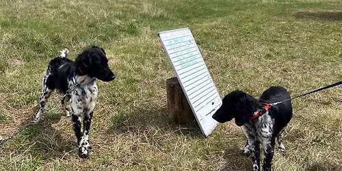 Field Training Clinic