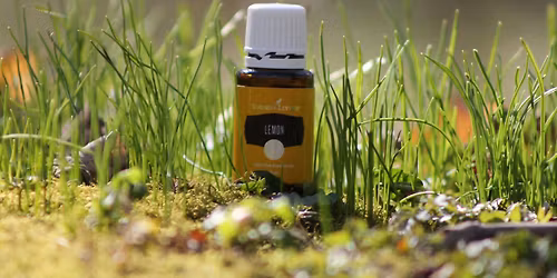 Dive into the fragrance of essential oils