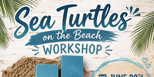 Sea Turtles on the Beach Workshop