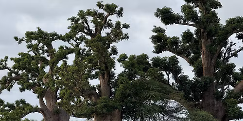 L'Ultra Trail Du S\u00e9n\u00e9gal 75 km - dans le cadre de l' Ultras et Raids au S\u00e9n\u00e9gal