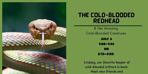 The Cold-Blooded Redhead
