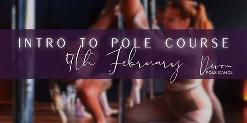 Intro to Pole Course - February