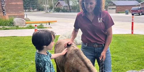 Storytime with MESA Therapeutic Horsemanship