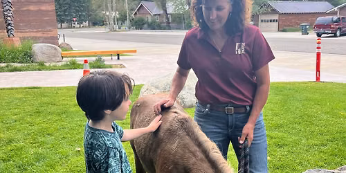 Storytime with MESA Therapeutic Horsemanship