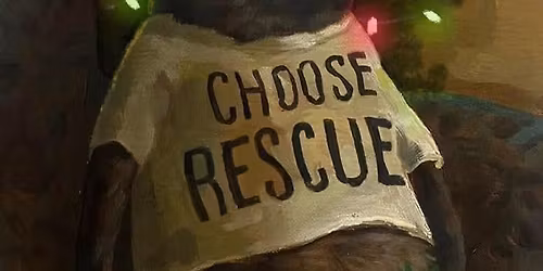 Meet and Greet at our rescue