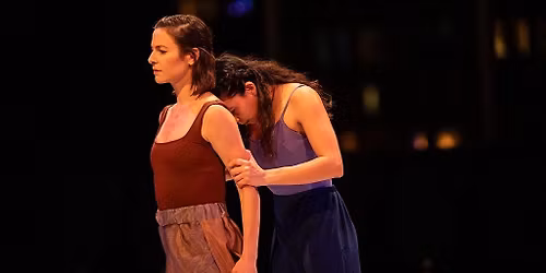 Dawn Springer Dance Projects Artist Benefit and Opening Party