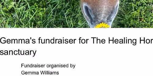 A walk in the Wyre forest