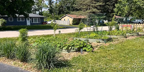 Urban Agroforestry - a look at an an urban food forest 