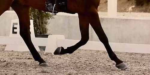 Dressage Ireland National Championships Festival, Castle Irvine 