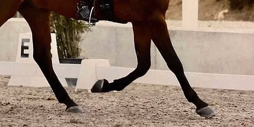 Dressage Ireland National Championships Festival, Castle Irvine 