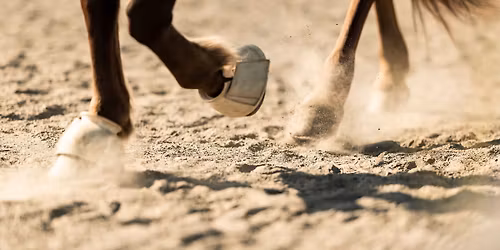 Hyggest\u00e6vne - Thorsgaard Efterskole