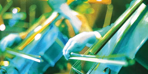 Mississippi Gulf Coast Symphony: The Violin Speaks