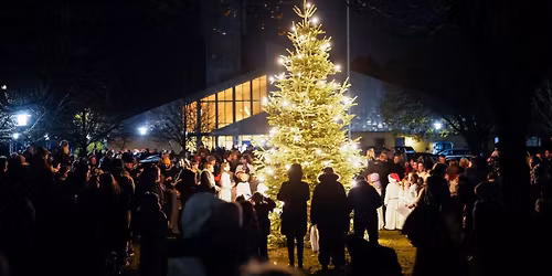 Juletr\u00e6st\u00e6nding 2025