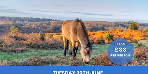 New Forest inc. Coach Travel