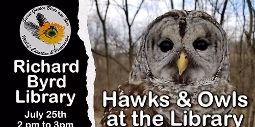 Meet Hawks and Owls at the Library!