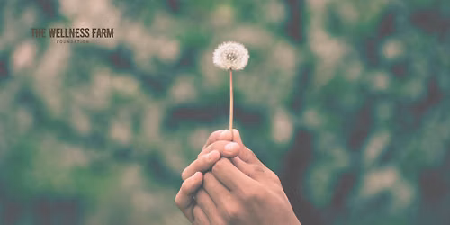 Gathering Circle: Loss of a Loved One (MONTHLY)
