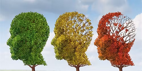 Understanding the Aging Brain, Alzheimer's, and Dementia with Edward Shaw, MD, MA