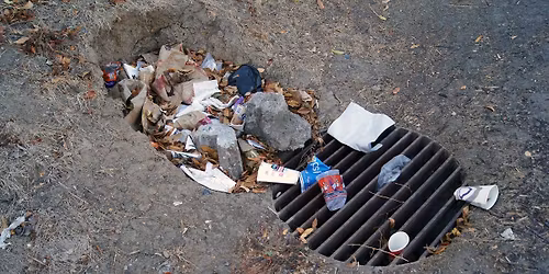 Neighborhood Cleanup: Walnut Hills